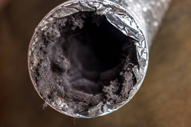 Best Affordable Air Duct Cleaning  in Hazel Park, MI